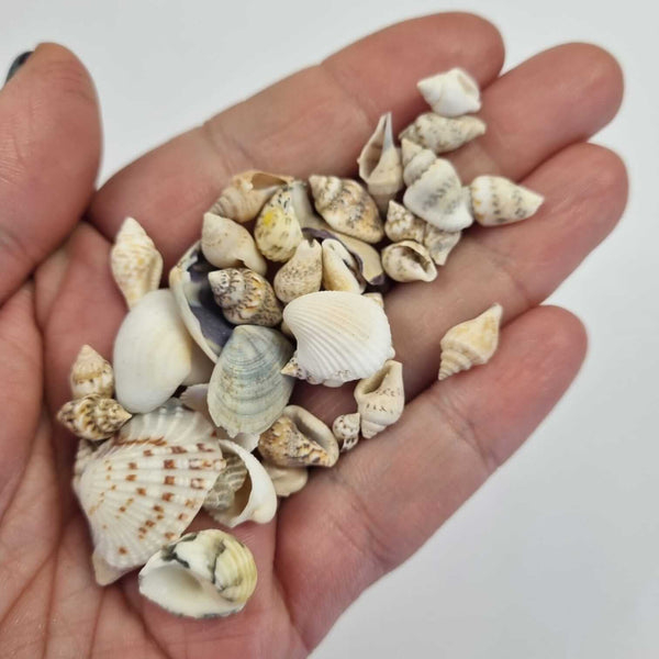 Bloom Texture Bundle - A Memoir from Crete!