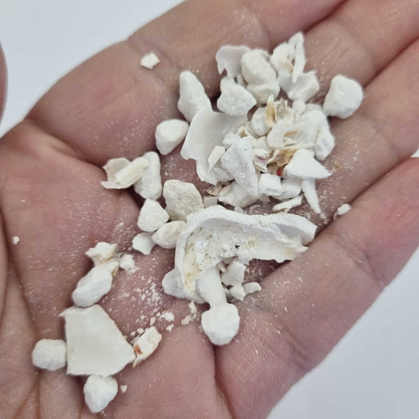 Bloom Texture Bundle  - A Memoir from Crete!