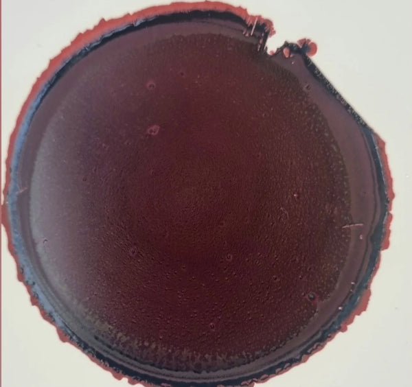 Bloom Ink Drops: Mixed Media Ink drops for Crafts - Hazel Wood!