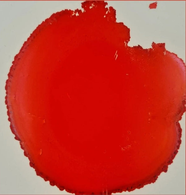 Bloom Ink Drops: Mixed Media Ink drops for Crafts - Vermillion Flame!