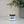 Potter Purple -  Eco Pour Pigment