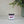 Cooper Pink -  Eco Pour Pigment