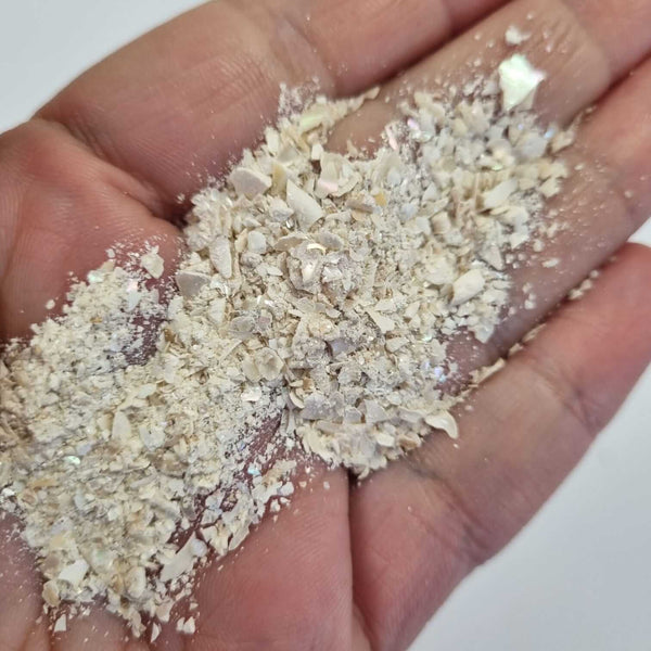 Bloom Texture Bundle  - A Memoir from Crete!